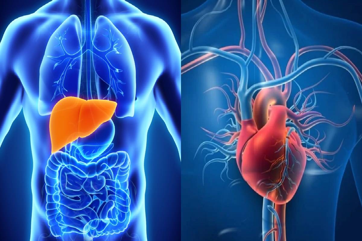 30 நாட்களுக்கு சக்கரை சாப்பிடுவதை தவிர்த்தால் என்னாகும்? | What Happens If You Avoid Eating Sugar For 30 Days 30 நாட்களுக்கு சக்கரை சாப்பிடுவதை தவிர்த்தால் என்னாகும்? | What Happens If You Avoid Eating Sugar For 30 Days