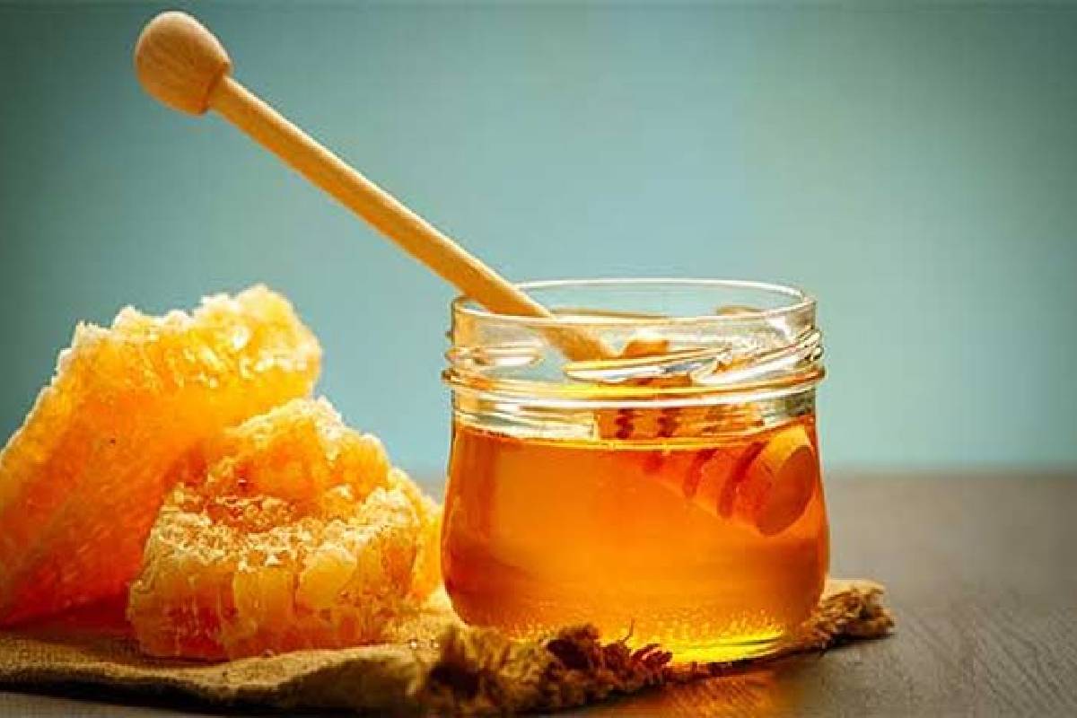 நோயெதிர்ப்பு சக்தியை வலுப்படுத்தும் நெல்லிக்காய்- இந்த உணவுகளுடன் சேர்த்துச் சாப்பிட்டால் இரட்டிப்பு பலன்கள்! | Best Pair With Amla To Boost Immunity Naturally