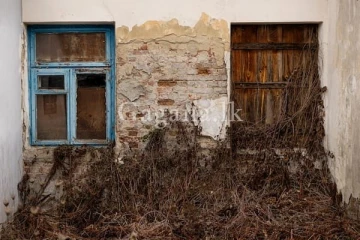 බුදු අම්මෝ නිවසක මිදුලක මෙච්චර වටිනා දෙයක් තියෙයි කියල හිතන්න පුලුවන්ද..(PHOTOS)