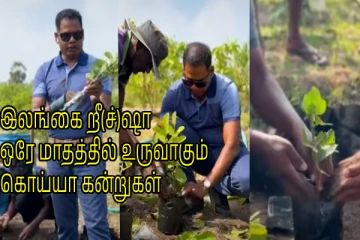 இலங்கை றீ(ச்)ஷால் விதை மூலம் ஒரே மாதத்தில் உருவாக்கப்படும் கொய்யா கன்றுகள்