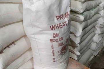 තිරිගු පිටි මිළ පහලට..? පාන් මිළෙත් වෙනසක්