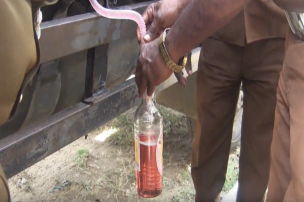 தமிழர் பகுதியில் மண்ணெண்ணெய் பயன்படுத்தியவர் அதிரடி கைது | Man Arrested For Using Kerosene In Tamil Area தமிழர் பகுதியில் மண்ணெண்ணெய் பயன்படுத்தியவர் அதிரடி கைது | Man Arrested For Using Kerosene In Tamil Area