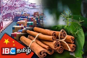 அடுத்த வருடம் முதல் சீனாவுக்கு ஏற்றுமதி செய்யப்படும் கறுவாப்பட்டை
