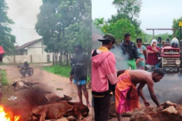 උතුරු නැගෙනහිර, 1600 කට අධික සත්ව මරණ වලට හේතුව හෙළිවෙයි..! මරණ පරීක්ෂණ වාර්තාව එළියට..