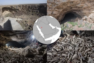 தோண்ட தோண்ட  ஆராய்ச்சியாளர்களுக்கு காத்திருந்த அதிர்ச்சி! குகை முழுவதும் குவித்து வைக்கப்பட்டிருந்த எலும்புகள்