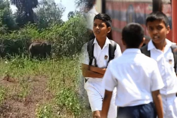 அழையா விருந்தாளியால் வவுனியா பாடசாலையில் பதற்றம்