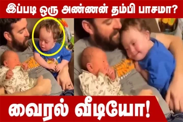 அண்ணன் - தம்பி பாசம் இப்படித் தான் இருக்கனும் போல... இவர்களின் அன்பை நீங்களே பாருங்க