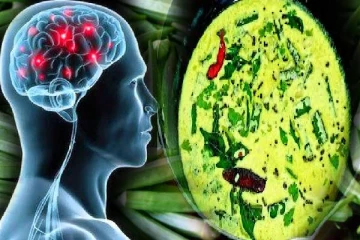 நினைவாற்றலை அதிகரிக்கும் வெண்டைக்காய் மோர் குழம்பு