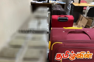 கட்டுநாயக்க விமான நிலையத்தில் வசமாக சிக்கிய பெண்கள்