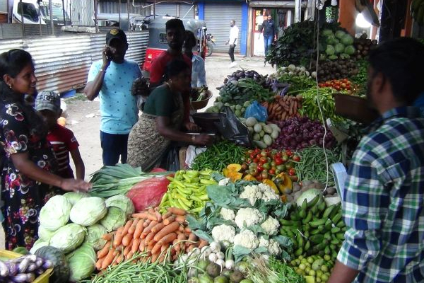 மலையகத்திலும் சூடுபிடித்த பொங்கல் வியாபாரம்! (Photos) | Pongal Business Is Hot In The Hills