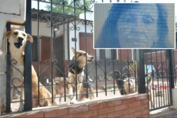 இறந்த பெண்ணின் உடலை தின்ற 5 வளர்ப்பு நாய்கள்: துர்நாற்றம் தாங்காமல் அக்கம்பக்கத்தினர் அவதி