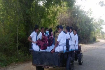 உழவு இயந்திரத்தில் பாடசாலை செல்லும் மாணவர்கள்