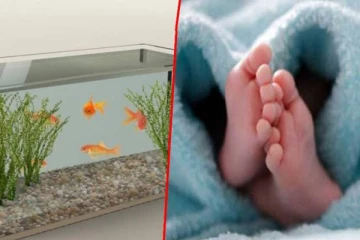 மீன் தொட்டிக்குள் விழுந்து ஒரு வயது குழந்தை பரிதாபமாக உயிரிழப்பு