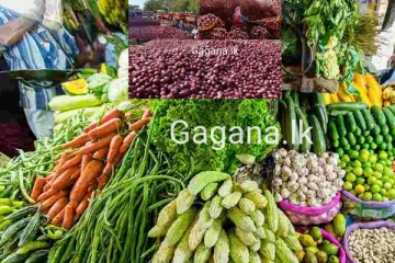 එළවළු මිල ගණන් යළි ඉහළ නගී..නව මිල ගණන් මෙතනින් දැන ගන්න..