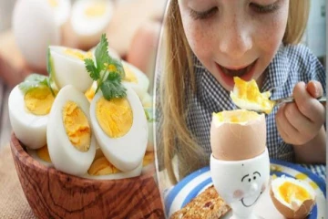 தினசரி முட்டை சாப்பிடுவது நல்லதா? கெட்டதா...?