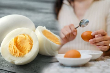 தினமும் முட்டை சாப்பிட்டலாமா? பெரியவர்கள் எத்தனை முட்டை சாப்பிடலாம்