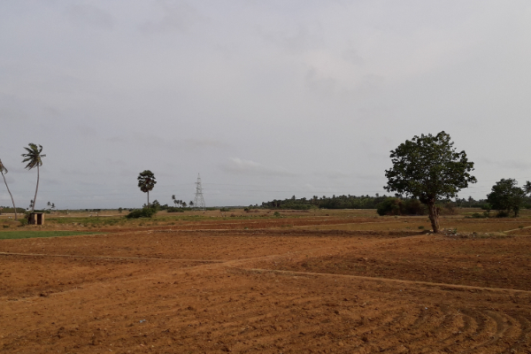 தாயகத்தில் காணி வாங்கும் புலம்பெயர் தமிழர்கள் அவதானம்; மாட்டிக்கொள்ளாதீர்கள்! | Diaspora Tamils Buying Land Homeland Be Cautious