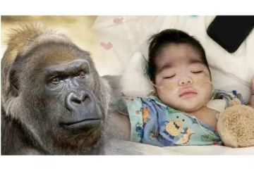 குழந்தைக்கு ஏற்பட்ட அரிய வகை நோய் - சிறிது சிறிதாக ஏற்பட்ட மாற்றம் - பெற்றோர் கண்ணீர்