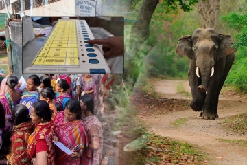 வாக்குச்சாவடிக்குள் புகுந்து பரபரப்பை ஏற்படுத்திய காட்டு யானை.. பதறி ஓடிய மக்கள்