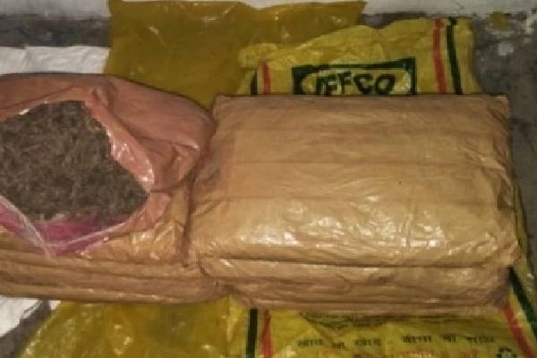 கிளாலி பகுதியில் இன்று  அதிகாலை சிக்கிய பெருமளவு ஆபத்தான பொருள்! | Very Dangerous Object Caught Kilali