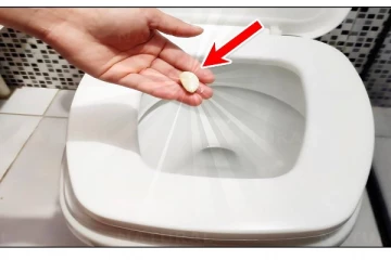 உங்கள் கழிவறையை பளபளக்க செய்ய வேண்டுமா? இந்த ஒரு பல் பூண்டு போதும்