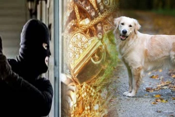 சூட்சுமமான கொள்ளையில் ஈடுபட்ட தம்பதியினர்: காவல்துறையில் முறைப்பாடு