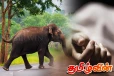 காட்டு யானை தாக்குதலில் இரண்டு பிள்ளைகளின் தந்தை உயிரிழப்பு
