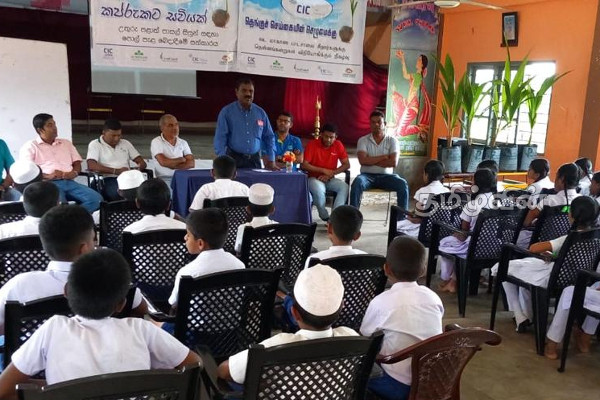 மன்னாரில் ஆரம்பித்து வைக்கப்பட்ட தென்னை முக்கோண வலயம் | Coconut Triangle Zone Was Established In Mannar