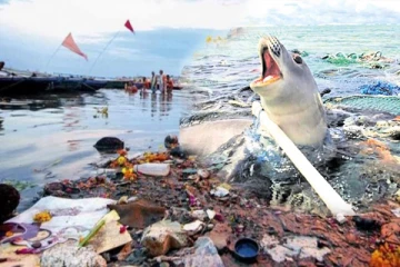 உலகை உலுக்கும் பிளாஸ்டிக் மாசு