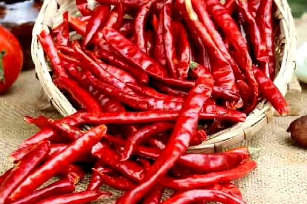 ஆடி மாத பலன்கள்: இந்த 4 பொருட்களை திருமணம் முடித்த மகளுக்கு தவறியும் கொடுக்காதீங்க | Things Not To Give To A Newly Married Daughter
