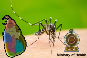 நாட்டில் அதிகரிக்கும் டெங்கு நோய்: சுகாதார அமைச்சு விடுத்துள்ள வேண்டுகோள்