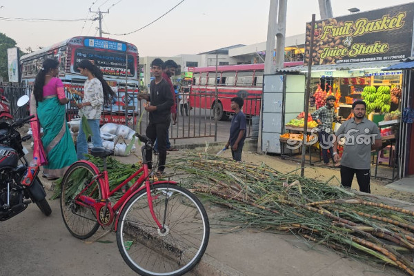 தமிழர் தாயகங்களில் களை கட்டிய பொங்கல் வியாபாரம் | Thai Pongal 2026