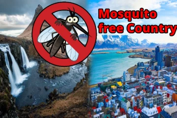 உலகின் கொசு தொல்லையில்லாத ஒரே நாடு – அதிசய காரணம் என்ன தெரியுமா?