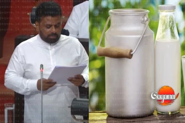 දේශීය කිරි නිෂ්පාදනය ඉහළ නැංවීමට රුපියල් මිලියන දහසක්