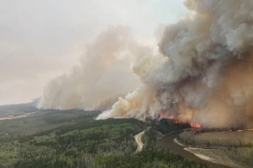 கனடா முழுவதும் பற்றியெரியும் காட்டுத்தீயால் ஆபத்தில் இரண்டு இனங்கள்