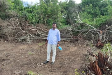 செட்டிகுளம் பிரதேச செயலாளரின் அனுமதியுடன் பல நூறு ஏக்கர் காடழிப்பு:  திலீபன் குற்றச்சாட்டு (Photos)
