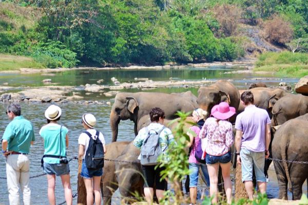 22 நாட்களில் சுமார் 2 இலட்சம் சுற்றுலாப் பயணிகள் வருகை! | Approximately 200 000 Tourists Visited In 22 Days