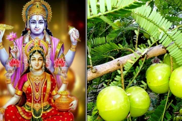 லட்சுமி கடாட்சம் பெறுக வீட்டில் இந்த ஒரு மரம் இருந்தால் போதும்