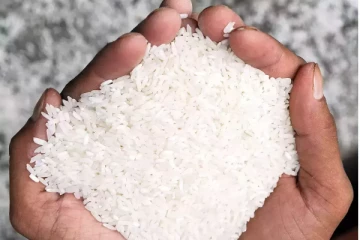 பழுதடைந்த இந்திய அரிசி; செல்வம் அடைக்கலநாதன் விடுத்த கோரிக்கை(Video)