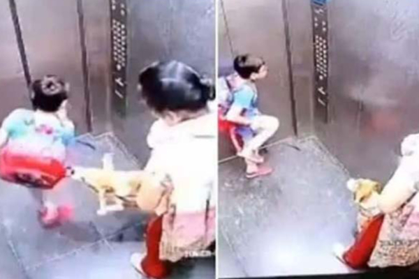 லிப்டில் சிறுவனை கடித்த நாய்! வலியால் துடித்த அவலம்: கண்டுகொள்ளாமல் நின்ற பெண் | Dog Bite Boy In Lift Viral Video
