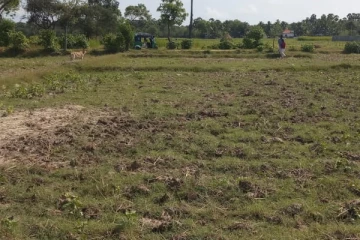 யாழில் போலியாக உறுதி செய்யப்பட்டு காணி மோசடி:நீதிமன்றம் பிறப்பித்துள்ள உத்தரவு