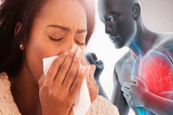 தொடர்ச்சியான இருமல் - 2025 இல் பரவிய நோய்... 2026 உம் தொடருமா? | Disease That Spread In 2025 Continue In 2026 தொடர்ச்சியான இருமல் - 2025 இல் பரவிய நோய்... 2026 உம் தொடருமா? | Disease That Spread In 2025 Continue In 2026