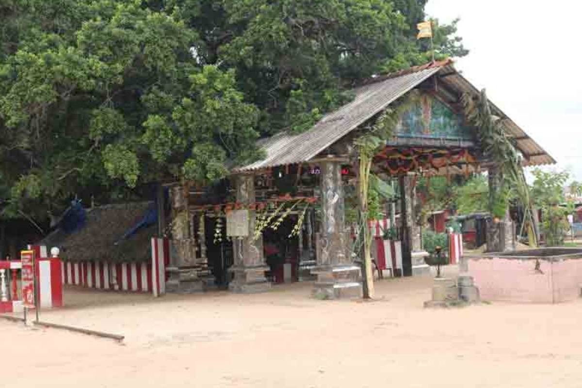 யாழ்–கொழும்பு பயணிகளே அவதானம் ; திருமுறிகண்டியில் பெண் தொடர்பில் எச்சரிக்கை | Warning Regarding Women In Thirumurikandi Jaffna