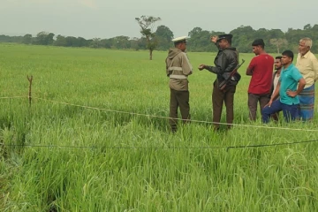 வயல்வெளியில் ஆடையின்றி கிடந்த சடலத்தால் பரபரப்பு