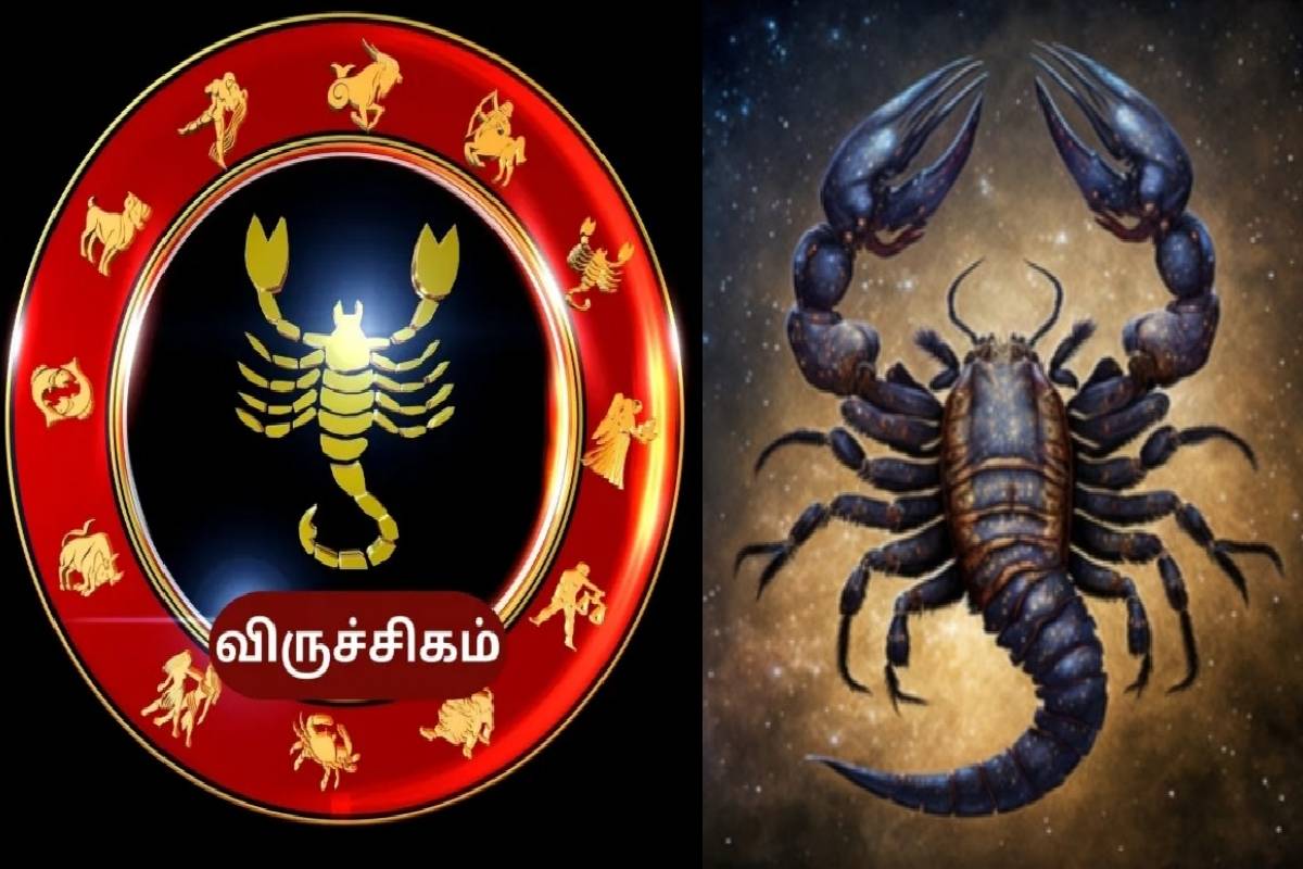 கோபத்தில் மிருகத்துக்கே டஃப் கொடுக்கும் டாப் 3 ராசிகள்! இவர்களிடம் வம்பு வச்சிக்காதீங்க | Which Zodiac Signs Are Most Dangerous When Angry