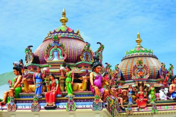 யாழ் பிரபல ஆலயத்தில் விக்கிரகம் திருட்டு; நாசவேலையை செய்தது யார்?