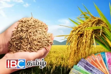 விவசாயிகளுக்கு மகிழ்ச்சி தகவல் : வருகிறது விலை நிர்ணயம்