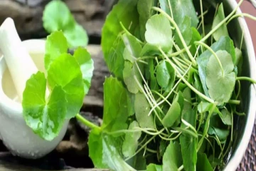 வெறும் வயிற்றில் வல்லாரை சாப்பிட்டால் என்ன ஆகும் தெரியுமா?