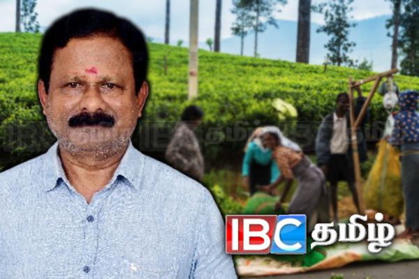 பெருந்தோட்ட பகுதிகளை காடுகளாக்கி மக்களை வெளியேற்ற திட்டம்! அம்பலப்படுத்தப்படும் தகவல்