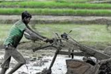 අඩු ආදායම්ලාභී ගොවි පවුල්වලට නොමිලේ හිමිවන විශේෂ දේ..